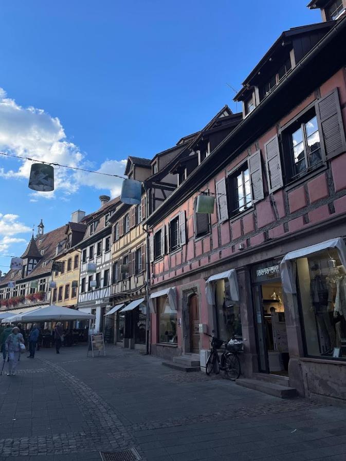 Ferienwohnung Le Beffroi Obernai Exterior foto
