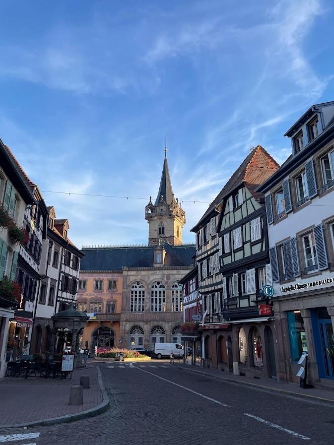 Ferienwohnung Le Beffroi Obernai Exterior foto
